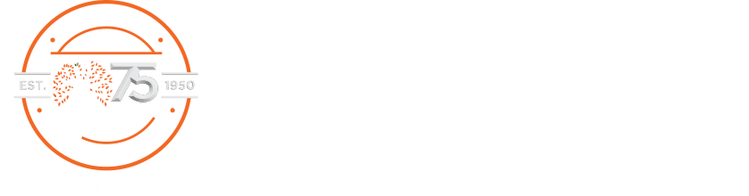 Mentis Africa Logo